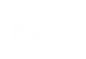 rinse audiokush rinse audiokush