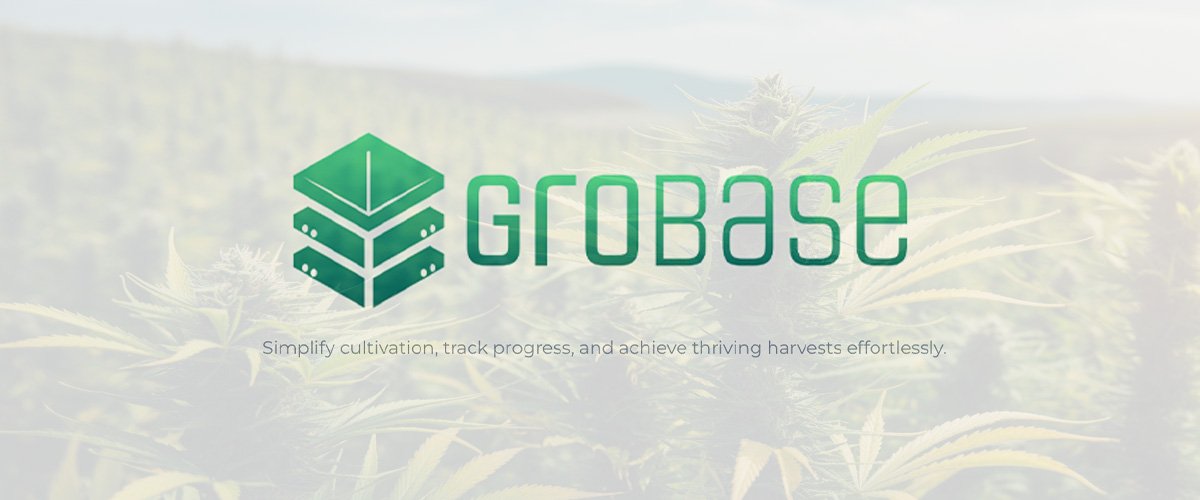 Empowering Growers: Celebrating GroBase’s One-Year Milestone