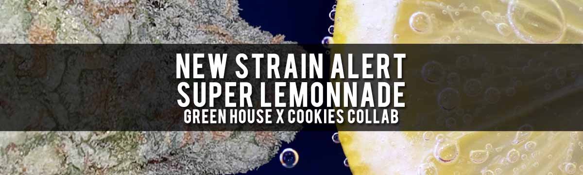 Super Lemonnade Strain by Berner's Cookies x Green House Seeds