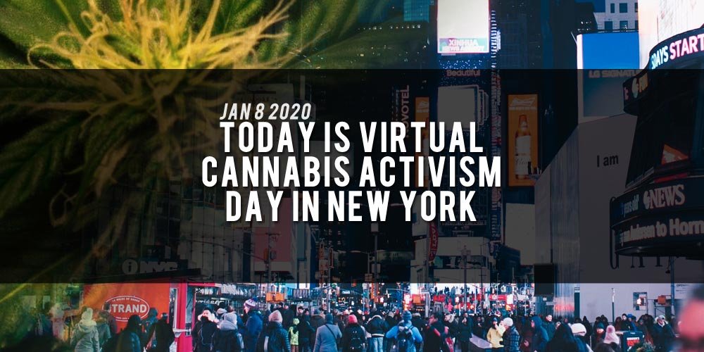 Virtual cannabis activism day, New York
