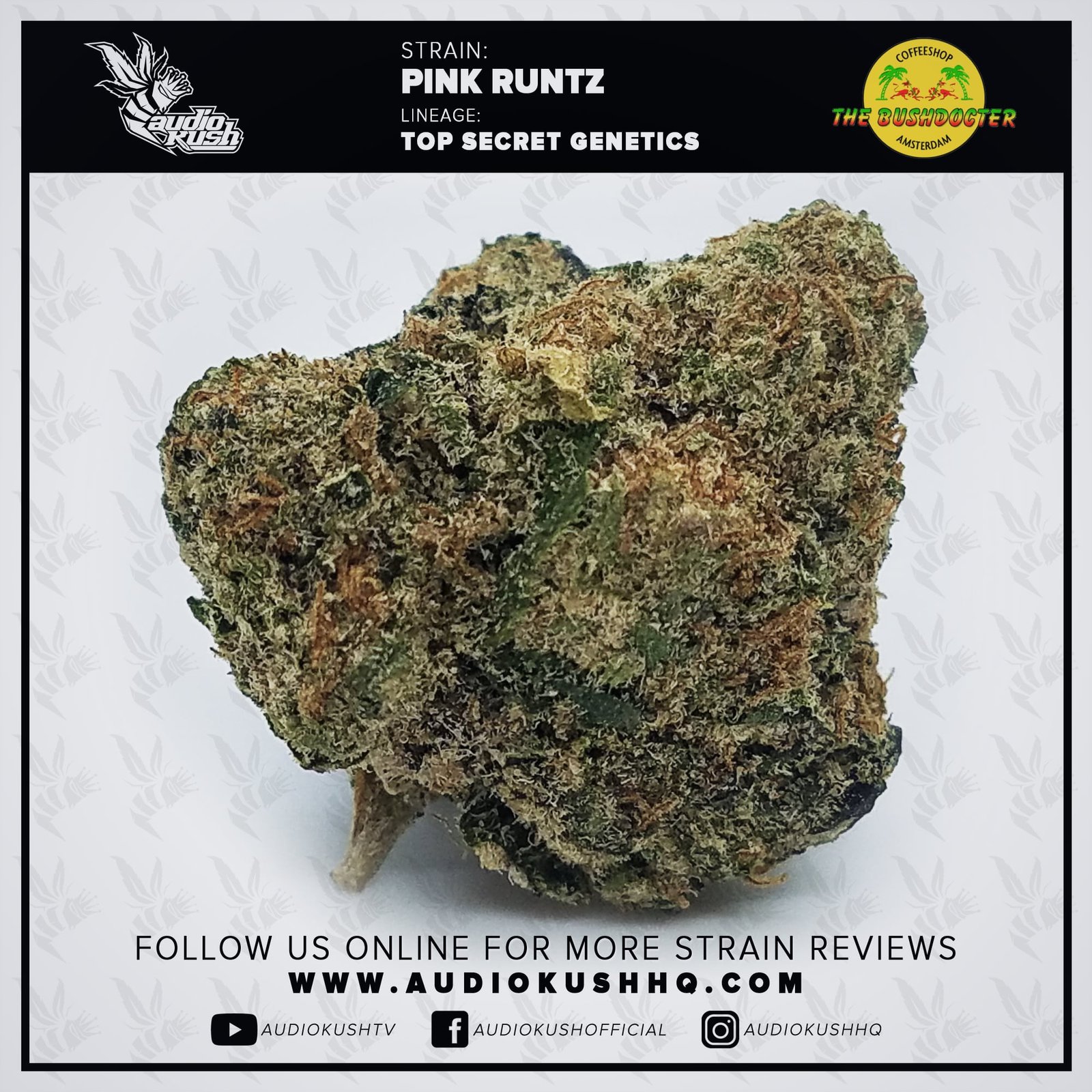 Strain Review: Pink Runtz (Flower) | AudioKush