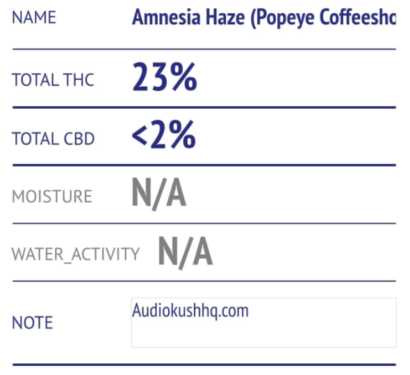 One strain you will see across Amsterdam in basically every coffeeshop is Amnesia Haze. 