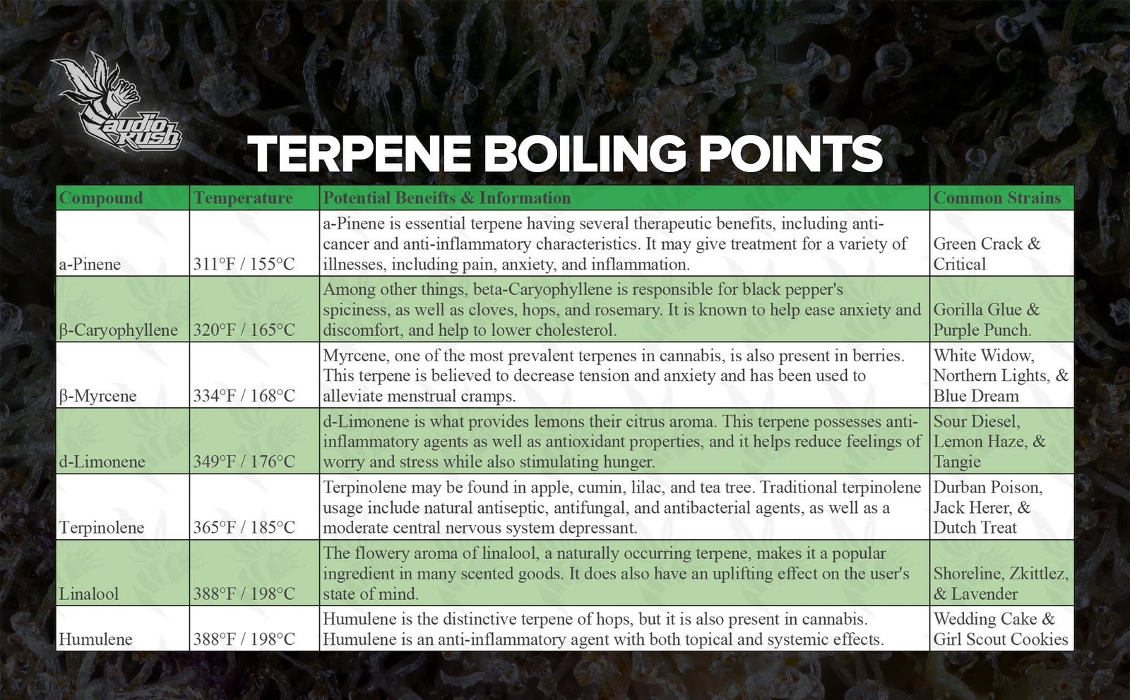 Vape Temperature Guide terpenes. Best Temps to vaporize your cannabis.