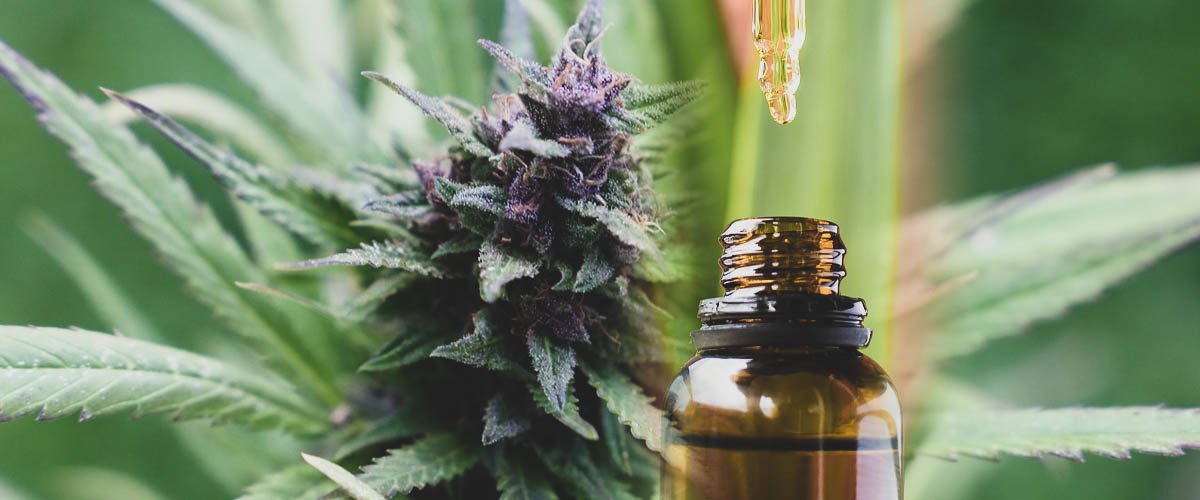difference between cbd flower and oil