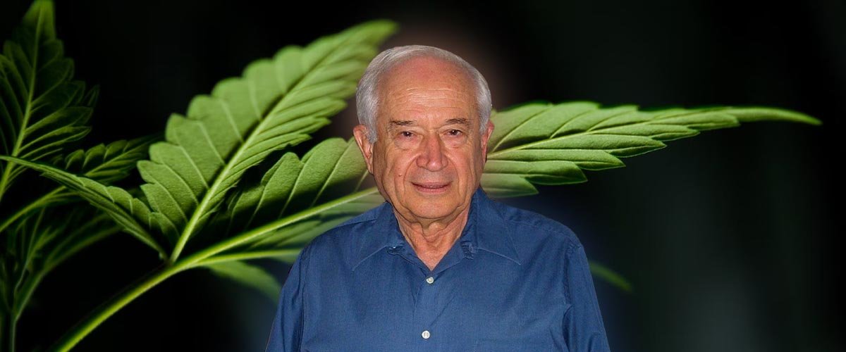 Father of cannabis research Raphael Mechoulam dies at 92