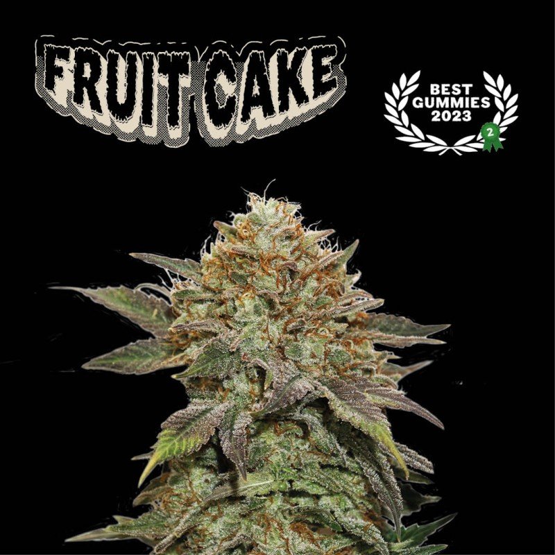 fruit-cake-seeds-feminized