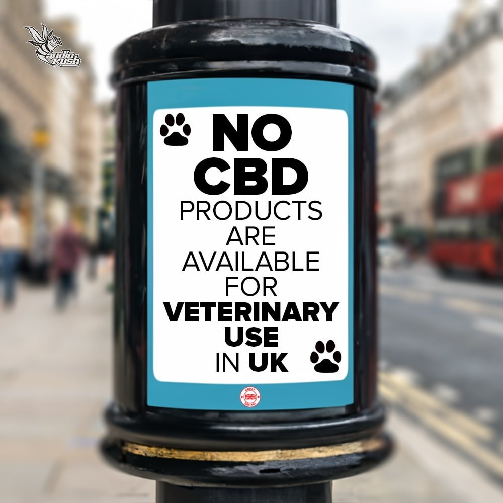 CBD For Dogs - No-CBD-Available-for-veterinary-use-in-UK-min