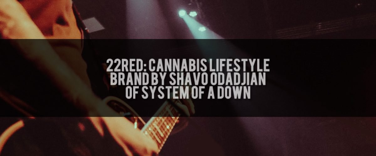 22Red Shavo Odadjian of System Of A Down