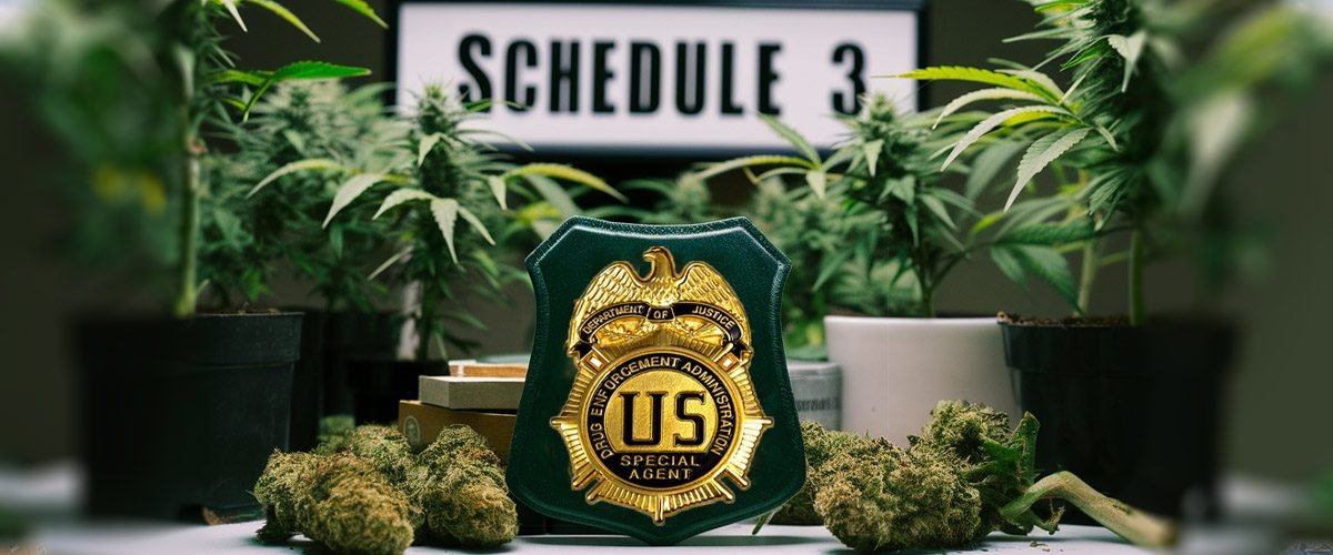 DEA reclassifies cannabis as schedule 3 from schedule 1 narcotic