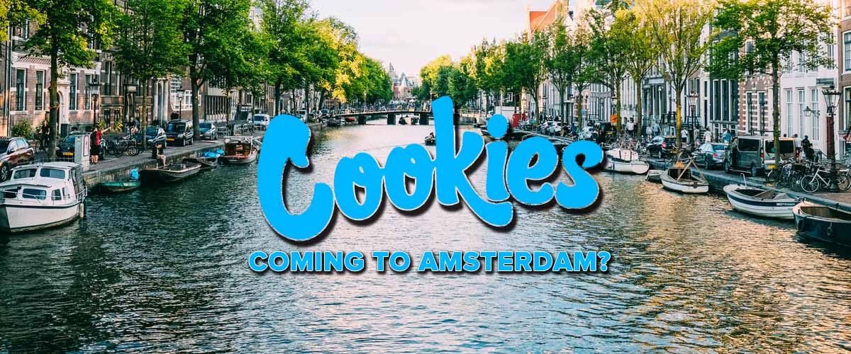 Cookies brand teases Amsterdam expansion.