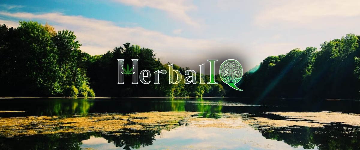 Herbal IQ Rochester Recreational Cannabis Dispensary