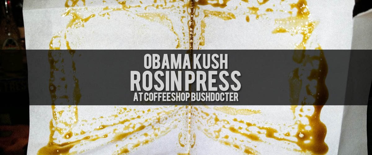 Ever dream of flying? Well now your dreams can become true, you can fly high with Obama Kush!
