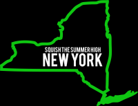 Squish the summer high new york button
