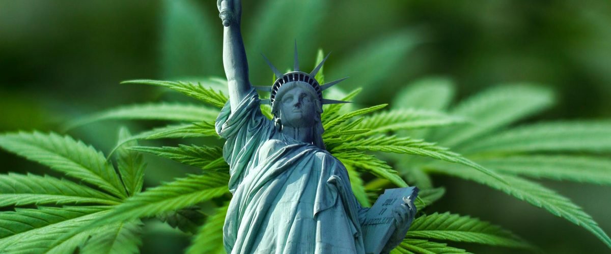 liberty cannabis (wecompress.com)