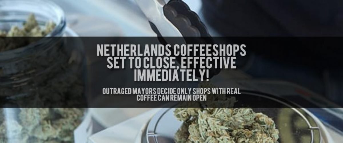 netherlands coffeeshops close