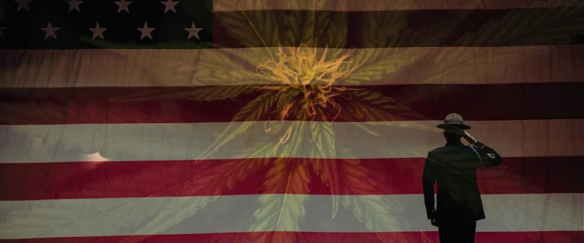veteran cannabis (wecompress.com)